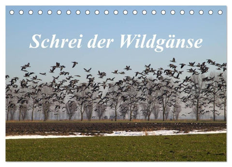 Schrei der Wildgänse (Tischkalender 2027 DIN A5 quer), CALVENDO Monatskalender