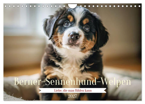Berner-Sennenhund-Welpen (Wandkalender 2027 DIN A4 quer), CALVENDO Monatskalender