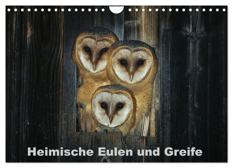 Heimische Eulen und Greife (Wandkalender 2027 DIN A4 quer), CALVENDO Monatskalender