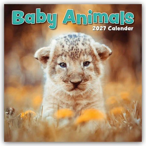 Baby Animals – Tierkinder 2027 – 16-Monatskalender