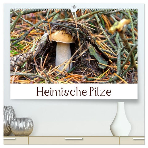 Heimische Pilze (hochwertiger Premium Wandkalender 2026 DIN A2 quer), Kunstdruck in Hochglanz