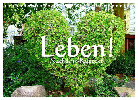Leben! - Nachdenk-Kalender (Wandkalender 2026 DIN A4 quer), CALVENDO Monatskalender