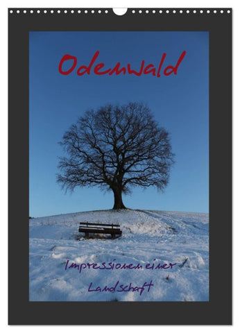 Odenwald - Impressionen einer Landschaft (Wandkalender 2026 DIN A3 hoch), CALVENDO Monatskalender