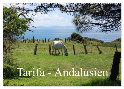Tarifa - Andalusien (Wandkalender 2027 DIN A2 quer), CALVENDO Monatskalender