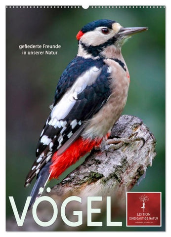 Vögel - gefiederte Freunde in unserer Natur (Wandkalender 2027 DIN A2 hoch), CALVENDO Monatskalender