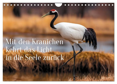 Mit den Kranichen kehrt das Licht in die Seele zurück (Wandkalender 2027 DIN A4 quer), CALVENDO Monatskalender