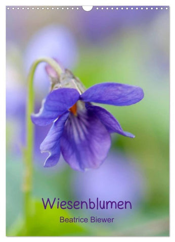 Wiesenblumen (Wandkalender 2027 DIN A3 hoch), CALVENDO Monatskalender