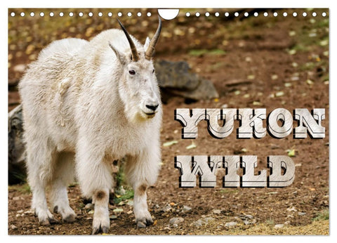 Yukon Wild (Wall Calendar 2026 DIN A4 landscape), CALVENDO 12 Month Wall Calendar