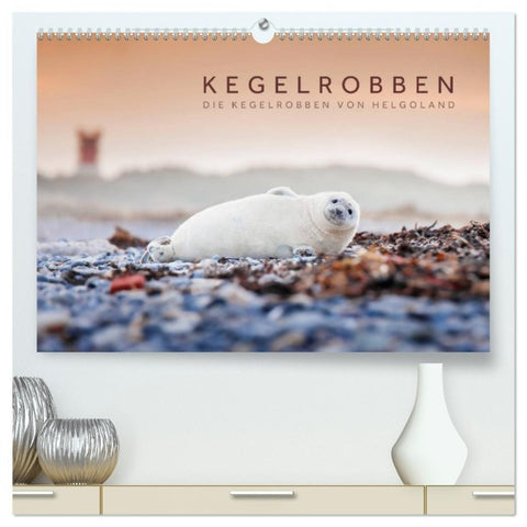 Kegelrobben - Die Kegelrobben von Helgoland (hochwertiger Premium Wandkalender 2027 DIN A2 quer), Kunstdruck in Hochglanz