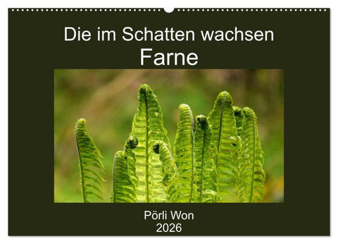 Die im Schatten wachsen - Farne (Wandkalender 2026 DIN A2 quer), CALVENDO Monatskalender