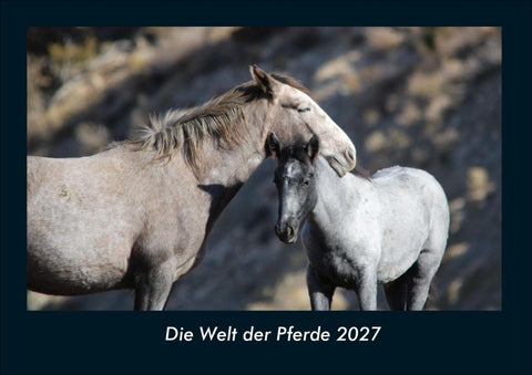 Die Welt der Pferde 2027 Fotokalender DIN A4