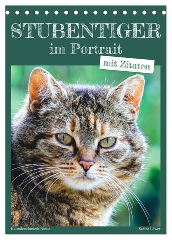 Stubentiger im Portrait (Tischkalender 2027 DIN A5 hoch), CALVENDO Monatskalender