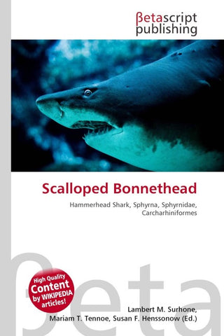 Scalloped Bonnethead