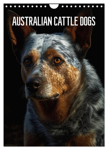 Australian Cattle Dogs (Wandkalender 2027 DIN A4 hoch), CALVENDO Monatskalender