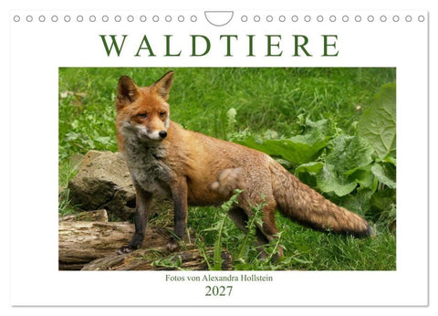 Waldtiere (Wandkalender 2027 DIN A4 quer), CALVENDO Monatskalender