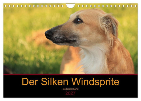 Der Silken Windsprite - ein Seelenhund (Wandkalender 2027 DIN A4 quer), CALVENDO Monatskalender