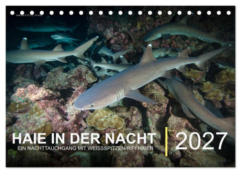 Haie in der Nacht (Tischkalender 2027 DIN A5 quer), CALVENDO Monatskalender