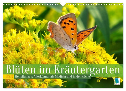 Blüten im Kräutergarten (Wandkalender 2027 DIN A3 quer), CALVENDO Monatskalender