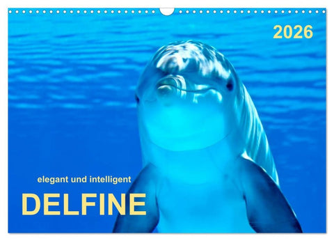 Delfine - elegant und intelligent (Wandkalender 2026 DIN A3 quer), CALVENDO Monatskalender