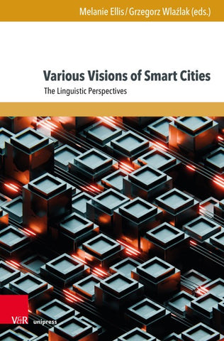 Various Visions of Smart Cities