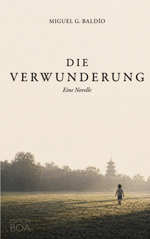 Die Verwunderung