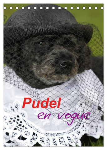Pudel en vogue (Tischkalender 2026 DIN A5 hoch), CALVENDO Monatskalender