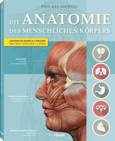 DIE ANATOMIE DES MENSCHLICHEN KÖRPERS
