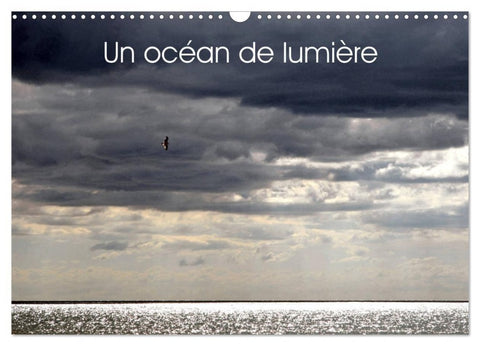 Un océan de lumière (Calendrier mural 2027 DIN A3 vertical), CALVENDO calendrier mensuel