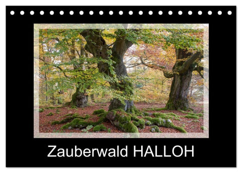 Zauberwald HALLOH (Tischkalender 2026 DIN A5 quer), CALVENDO Monatskalender