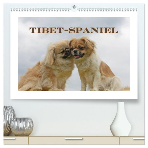 Tibet-Spaniel (hochwertiger Premium Wandkalender 2027 DIN A2 quer), Kunstdruck in Hochglanz