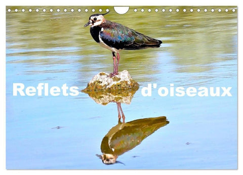 Reflets d'oiseaux (Calendrier mural 2027 DIN A4 vertical), CALVENDO calendrier mensuel