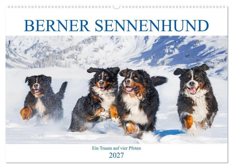 Berner Sennenhund - Ein Traum auf vier Pfoten (Wandkalender 2027 DIN A2 quer), CALVENDO Monatskalender