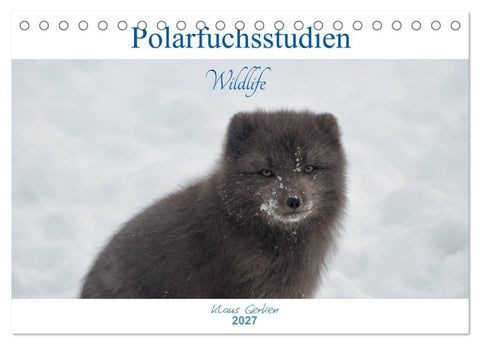 Polarfuchsstudien Wildlife (Tischkalender 2027 DIN A5 quer), CALVENDO Monatskalender