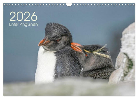 Unter Pinguinen (Wandkalender 2026 DIN A3 quer), CALVENDO Monatskalender
