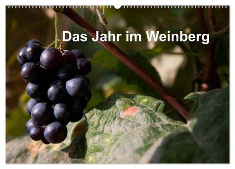 Das Jahr im Weinberg (Wandkalender 2027 DIN A2 quer), CALVENDO Monatskalender
