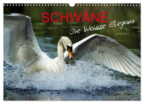 SCHWÄNE. (Wandkalender 2026 DIN A3 quer), CALVENDO Monatskalender