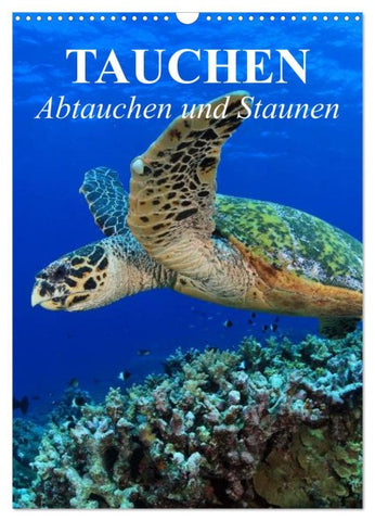Tauchen - Abtauchen und Staunen (Wandkalender 2026 DIN A3 hoch), CALVENDO Monatskalender