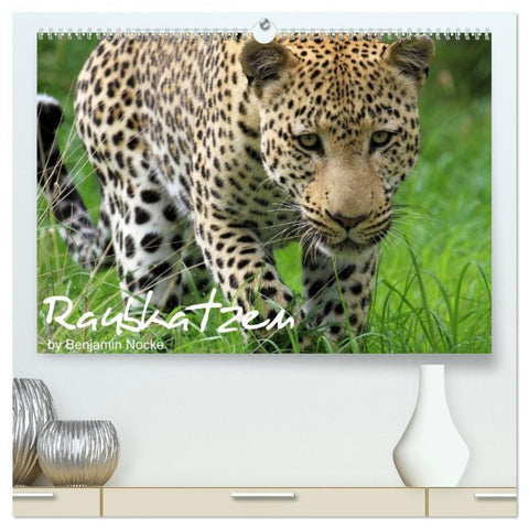 Raubkatzen (hochwertiger Premium Wandkalender 2027 DIN A2 quer), Kunstdruck in Hochglanz