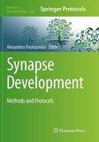 Synapse Development