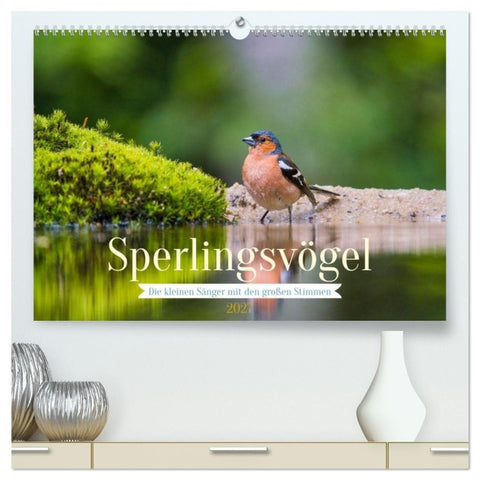 Sperlingsvögel - Die kleinen Sänger mit den großen Stimmen (hochwertiger Premium Wandkalender 2027 DIN A2 quer), Kunstdruck in Hochglanz