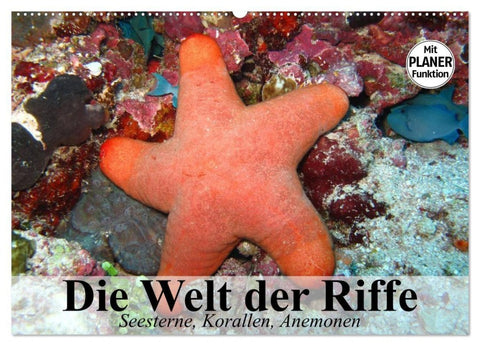 Die Welt der Riffe. Seesterne, Korallen, Anemonen (Wandkalender 2027 DIN A2 quer), CALVENDO Monatskalender