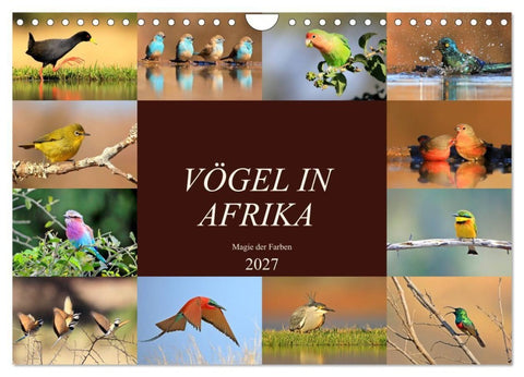 Vögel in Afrika - Magie der Farben (Wandkalender 2027 DIN A4 quer), CALVENDO Monatskalender