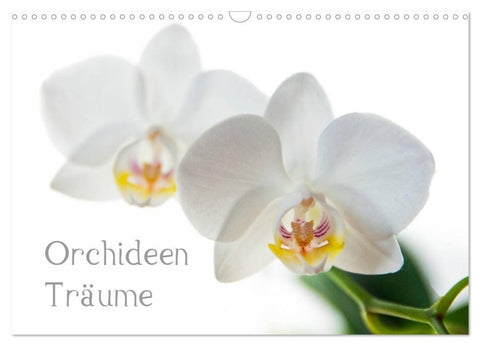 Orchideen Träume (Wandkalender 2027 DIN A3 quer), CALVENDO Monatskalender