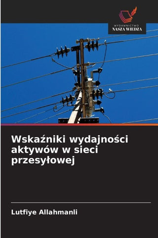 Wska¿niki wydajno¿ci aktywów w sieci przesy¿owej