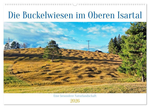 Die Buckelwiesen im Oberen Isartal (Wandkalender 2026 DIN A2 quer), CALVENDO Monatskalender