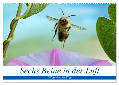 Sechs Beine in der Luft - Wildbienen im Flug (Wandkalender 2027 DIN A2 quer), CALVENDO Monatskalender