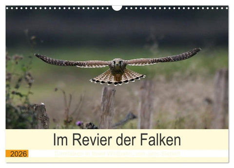 Im Revier der Falken (Wandkalender 2026 DIN A3 quer), CALVENDO Monatskalender