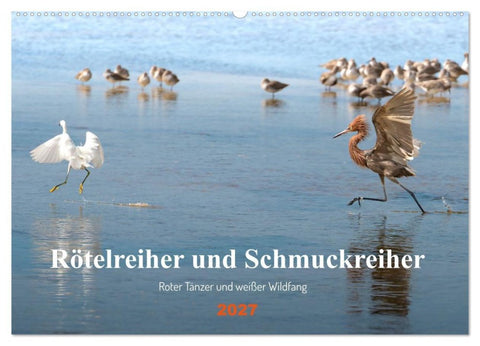 Rötelreiher und Schmuckreiher (Wandkalender 2027 DIN A2 quer), CALVENDO Monatskalender