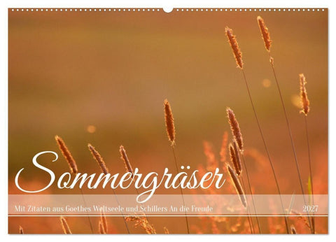 Sommergräser (Wandkalender 2027 DIN A2 quer), CALVENDO Monatskalender