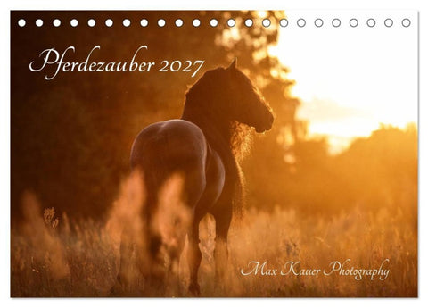 Pferdezauber 2027 (Tischkalender 2027 DIN A5 quer), CALVENDO Monatskalender